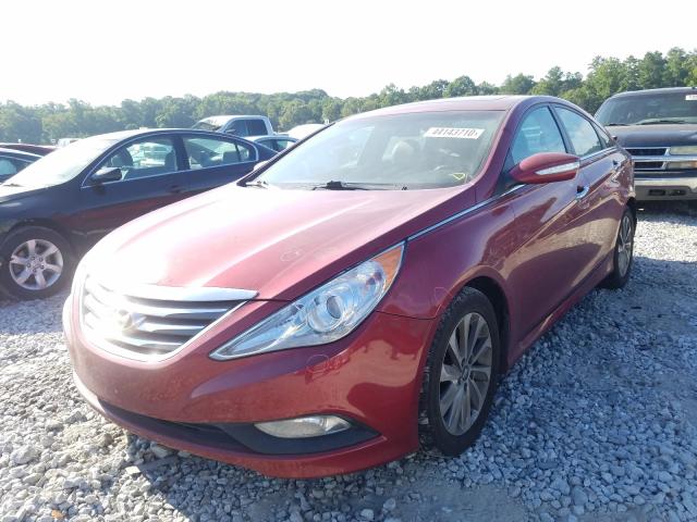 Photo 1 VIN: 5NPEC4AC8EH919235 - HYUNDAI SONATA 