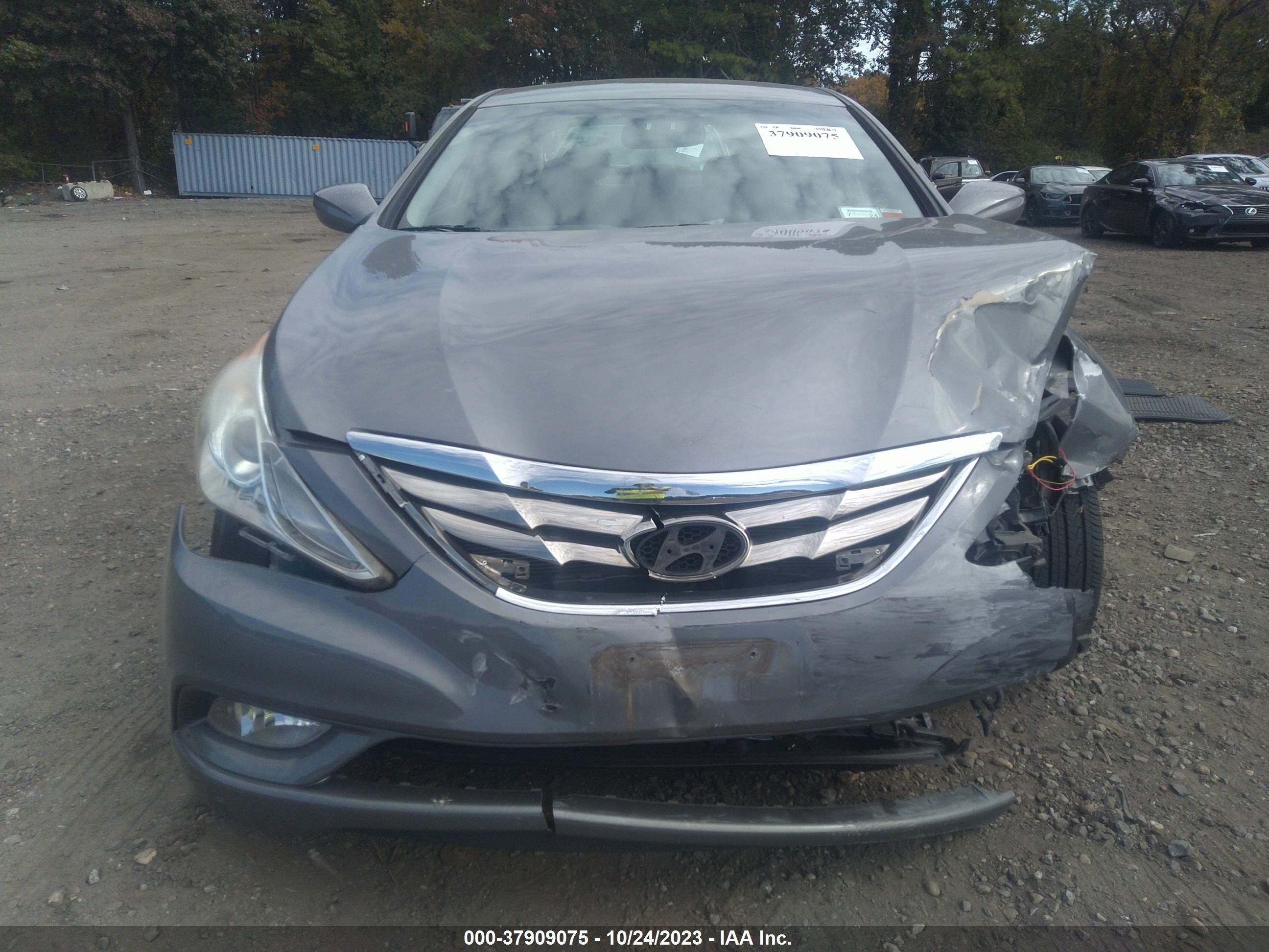 Photo 11 VIN: 5NPEC4AC9BH097072 - HYUNDAI SONATA 