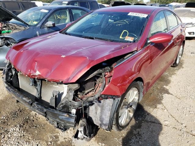 Photo 1 VIN: 5NPEC4AC9BH276468 - HYUNDAI SONATA SE 