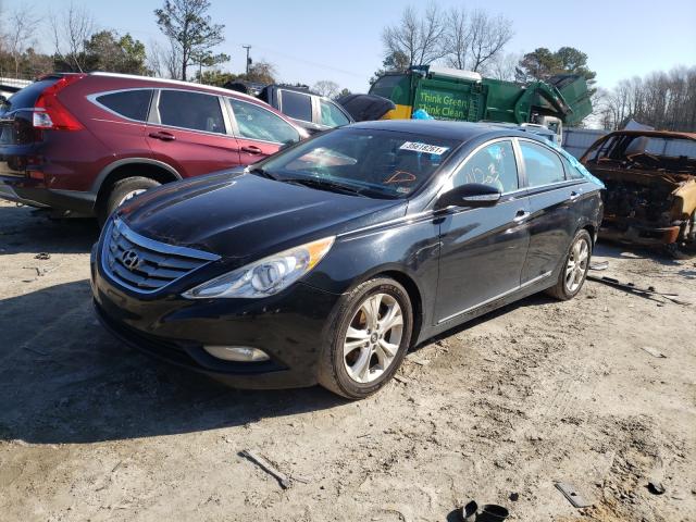 Photo 1 VIN: 5NPEC4AC9DH556846 - HYUNDAI SONATA SE 