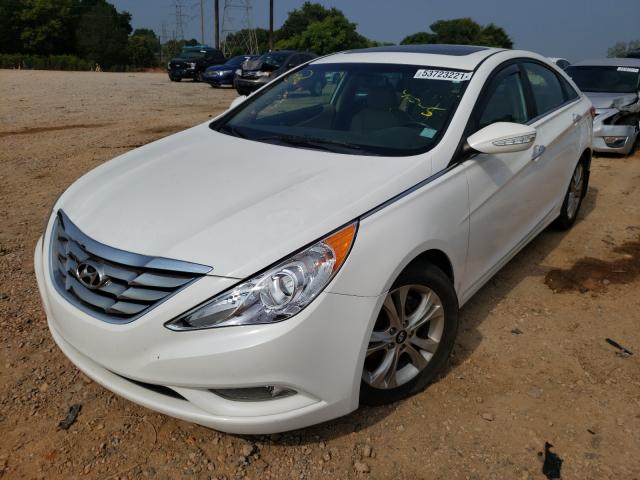 Photo 1 VIN: 5NPEC4AC9DH645350 - HYUNDAI SONATA SE 