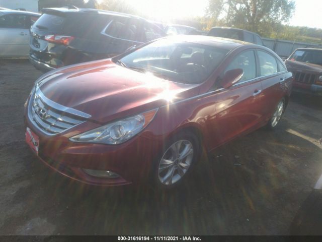 Photo 1 VIN: 5NPEC4AC9DH669695 - HYUNDAI SONATA 