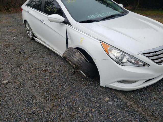 Photo 8 VIN: 5NPEC4AC9DH684584 - HYUNDAI SONATA SE 