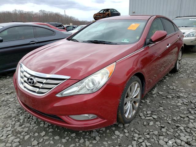 Photo 1 VIN: 5NPEC4ACXBH040699 - HYUNDAI SONATA SE 