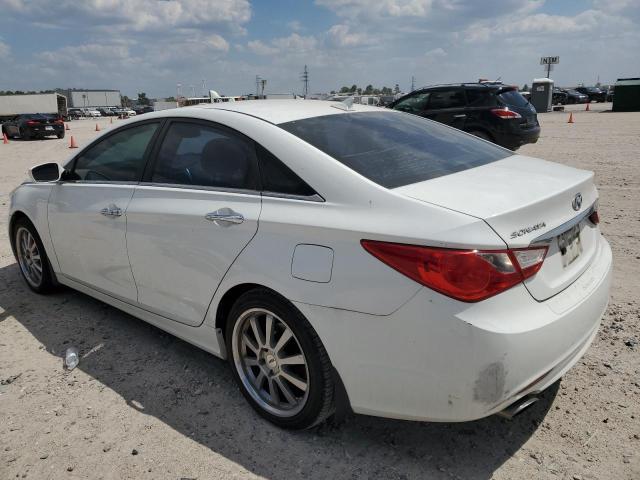 Photo 1 VIN: 5NPEC4ACXBH256603 - HYUNDAI SONATA SE 