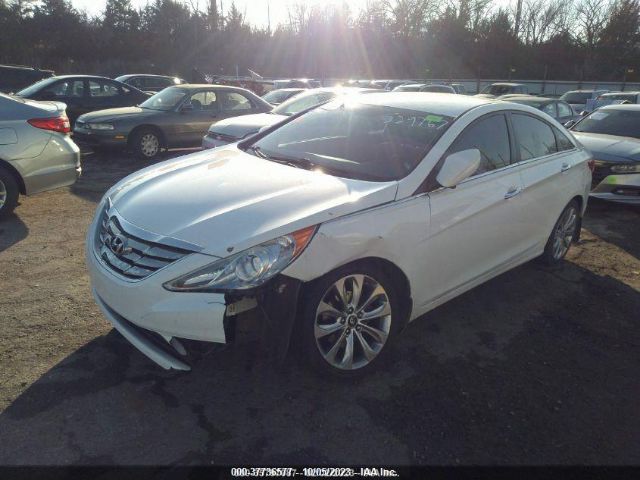 Photo 1 VIN: 5NPEC4ACXDH529767 - HYUNDAI SONATA 