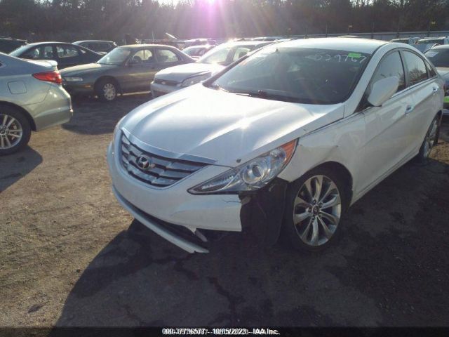 Photo 5 VIN: 5NPEC4ACXDH529767 - HYUNDAI SONATA 