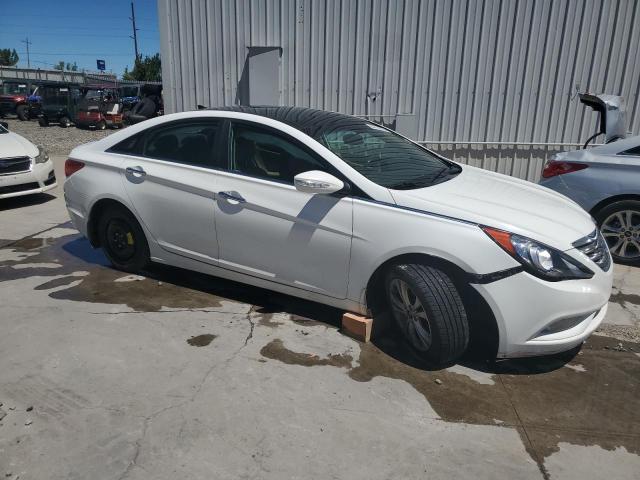 Photo 3 VIN: 5NPEC4ACXDH659984 - HYUNDAI SONATA SE 