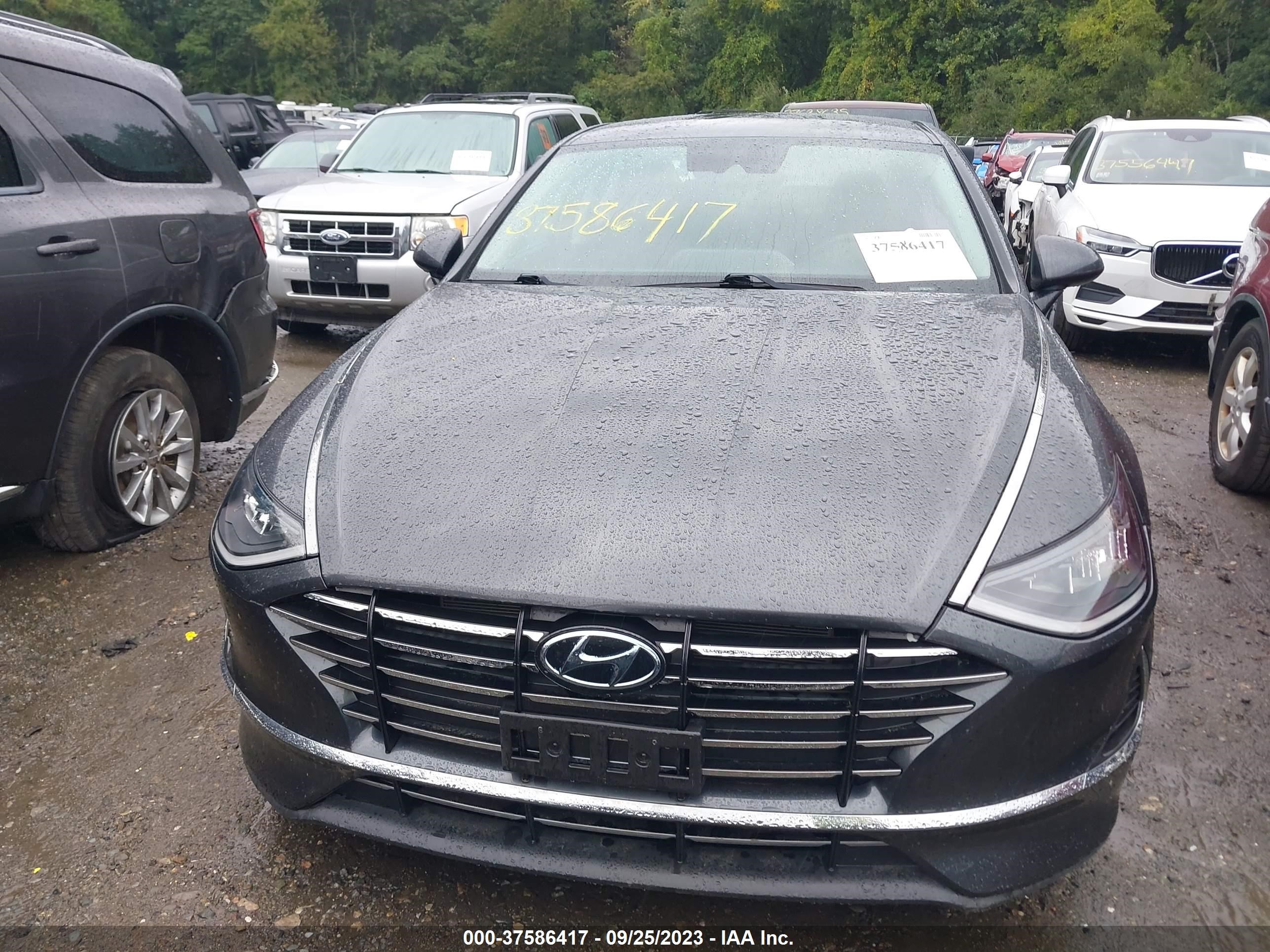 Photo 11 VIN: 5NPEG4JA8LH051379 - HYUNDAI SONATA 