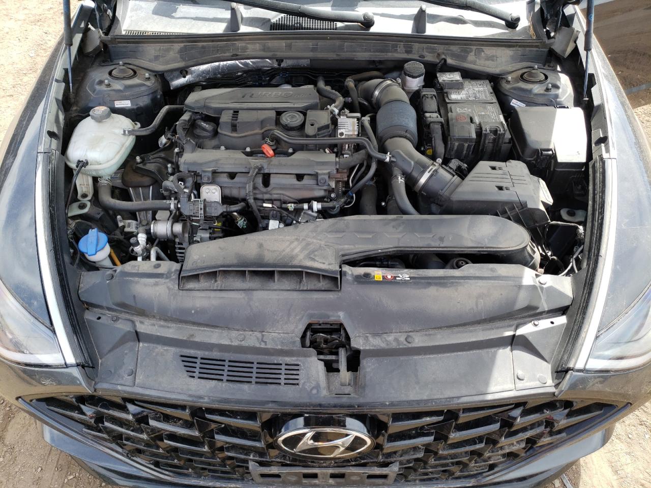 Photo 10 VIN: 5NPEH4J21MH081086 - HYUNDAI SONATA 