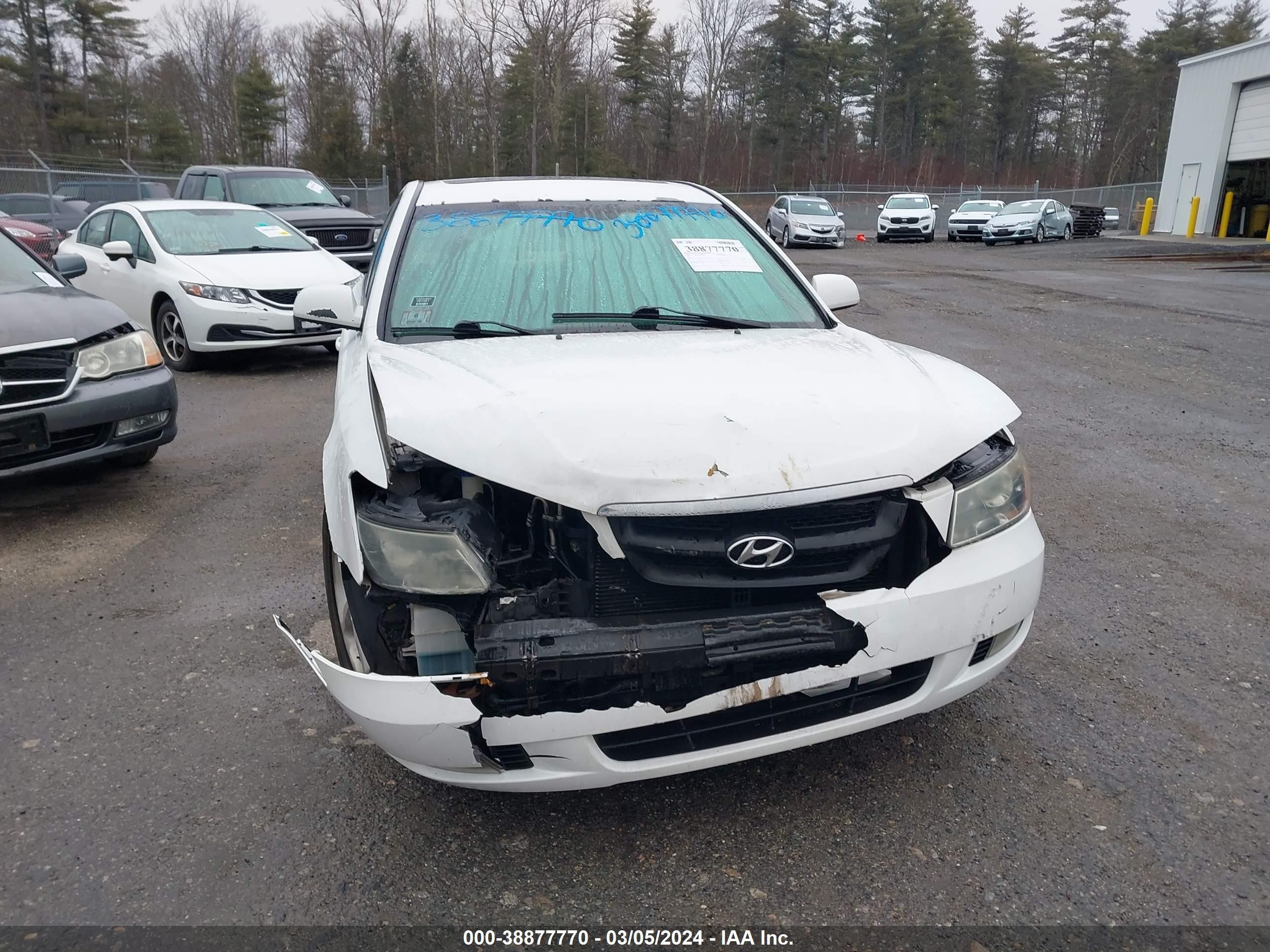 Photo 21 VIN: 5NPEU46F17H181667 - HYUNDAI SONATA 