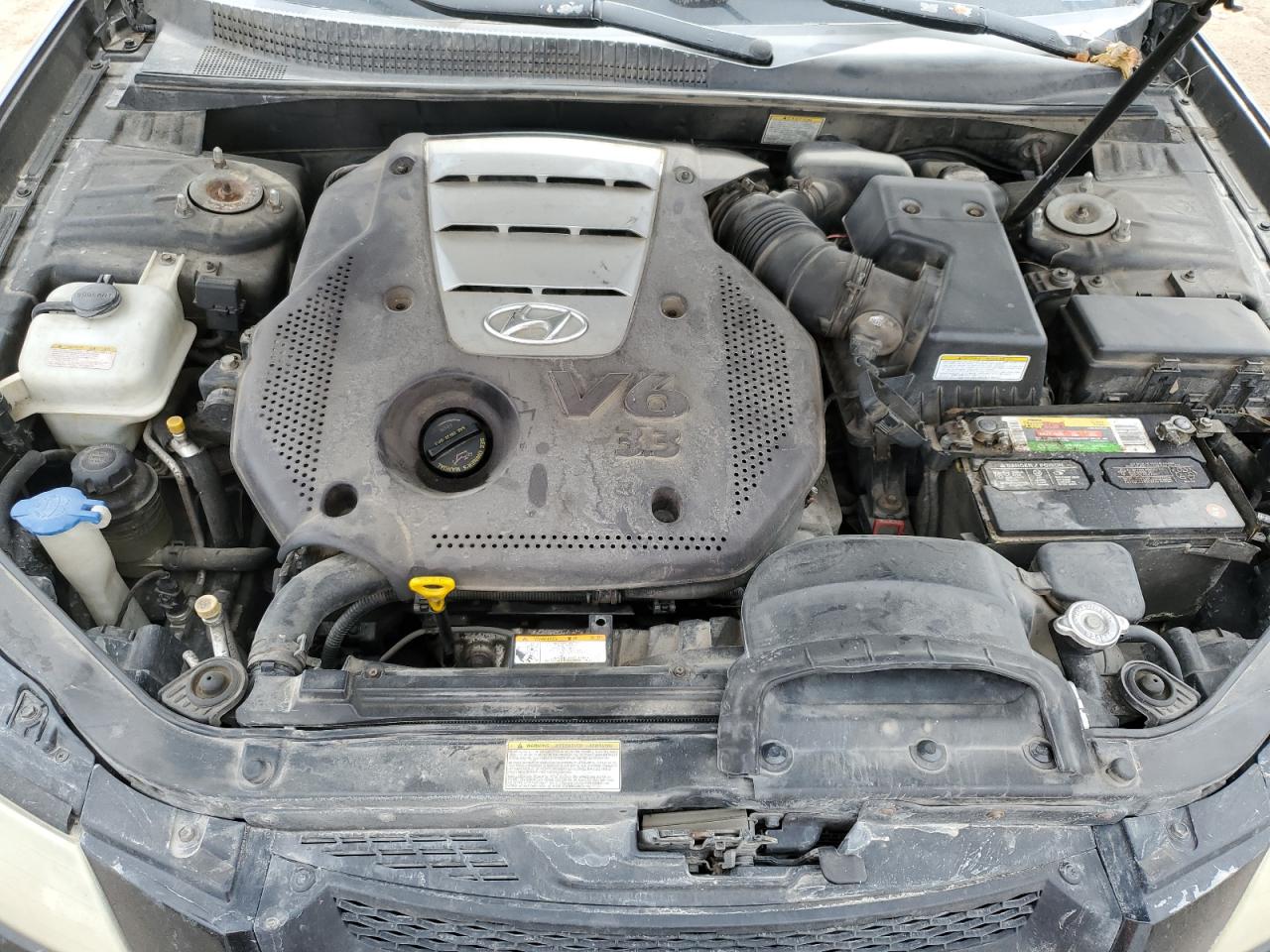 Photo 10 VIN: 5NPEU46F26H017116 - HYUNDAI SONATA 