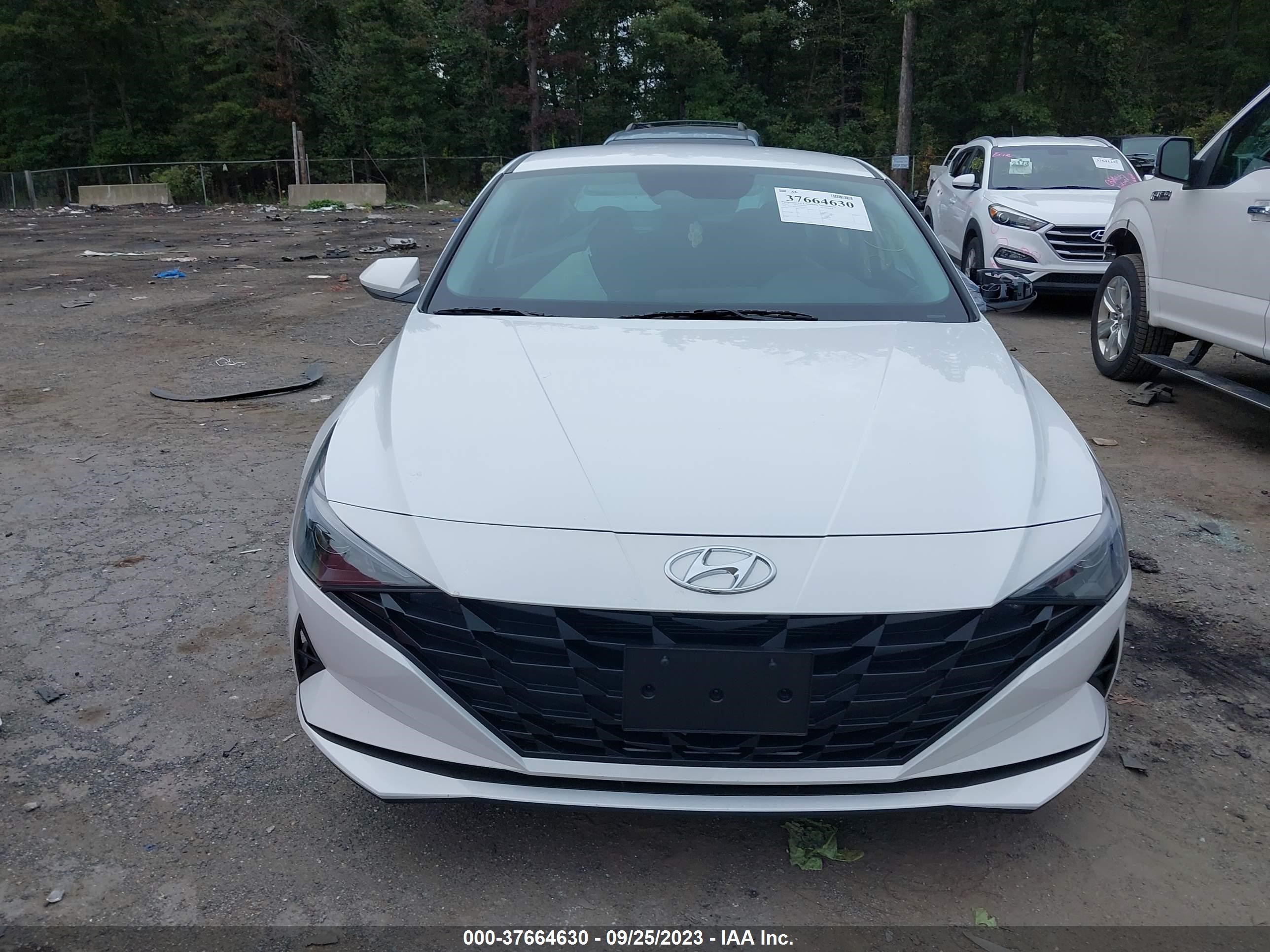 Photo 12 VIN: 5NPLM4AG2PH112171 - HYUNDAI ELANTRA 