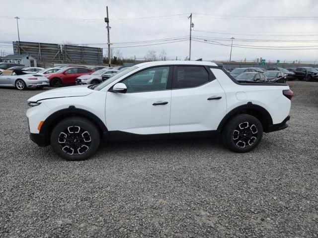 Photo 11 VIN: 5NTJBDAE3NH002837 - HYUNDAI SANTA CRUZ 