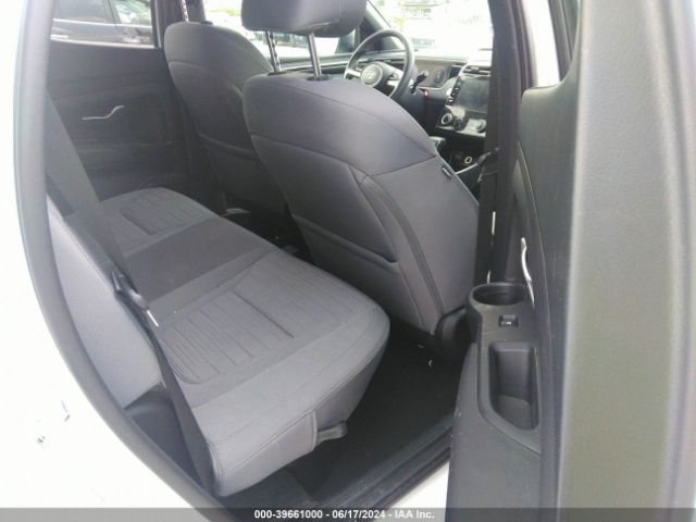 Photo 7 VIN: 5NTJCDAE3NH029758 - HYUNDAI SANTA CRUZ 