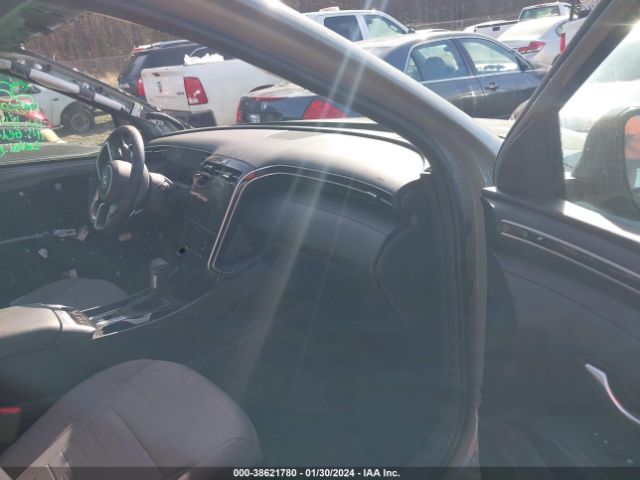 Photo 4 VIN: 5NTJDDAF2PH067667 - HYUNDAI SANTA CRUZ 