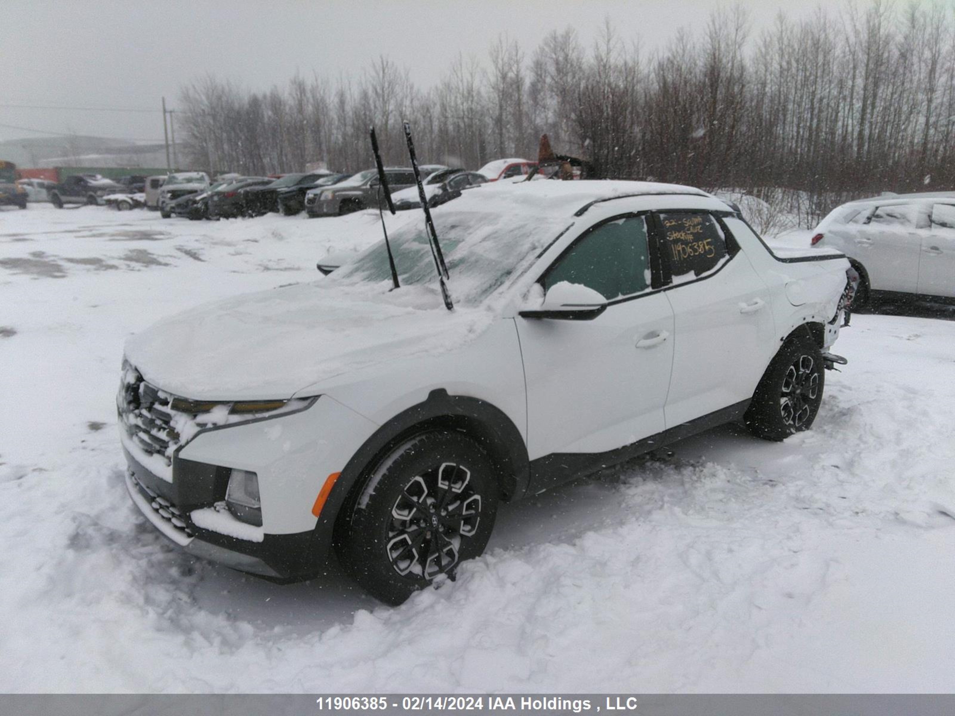 Photo 1 VIN: 5NTJDDAF6NH033647 - HYUNDAI SANTA CRUZ 