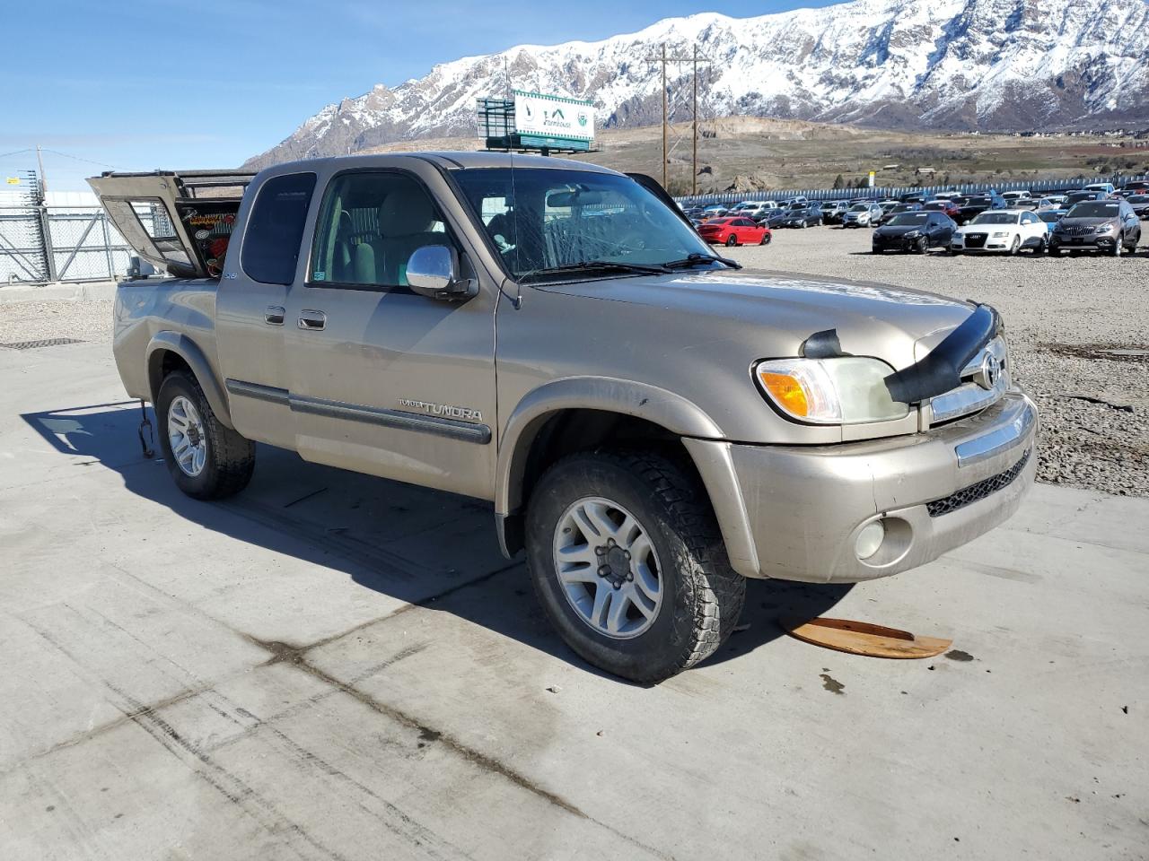 Photo 3 VIN: 5TBBT44135S464729 - TOYOTA TUNDRA 