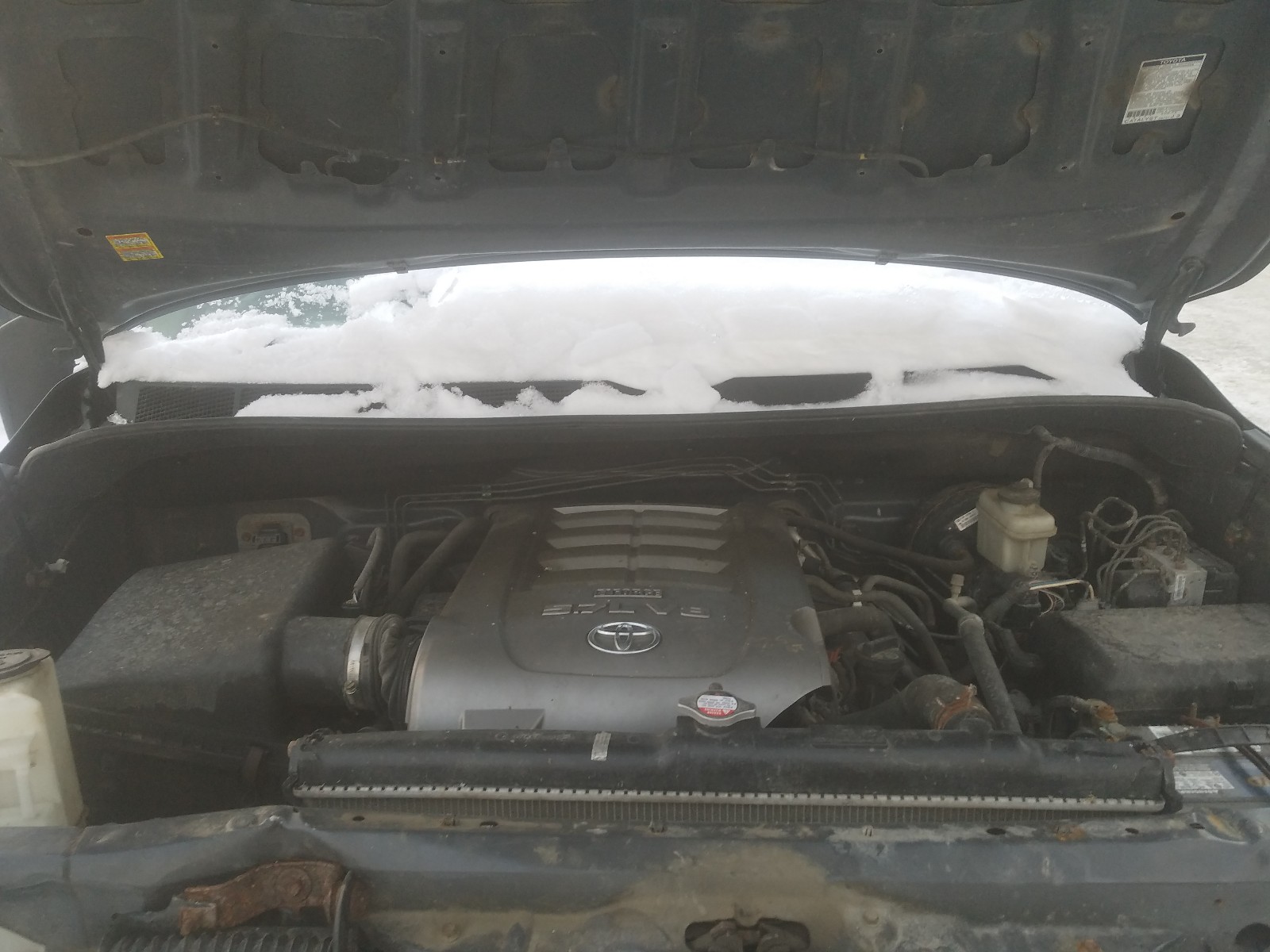 Photo 6 VIN: 5TBBV54108S523370 - TOYOTA TUNDRA DOU 