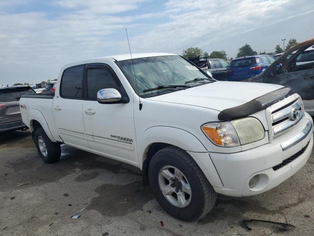 Photo 3 VIN: 5TBDT44195S499722 - TOYOTA TUNDRA DOU 