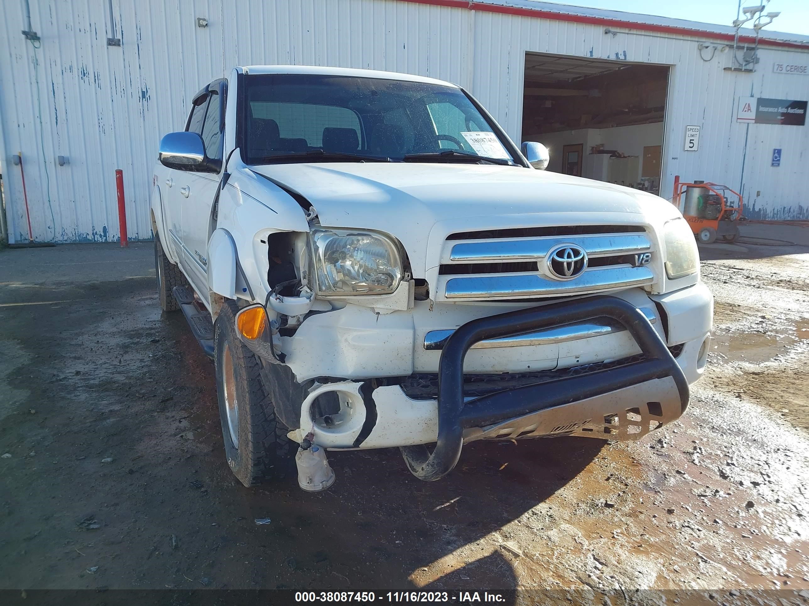 Photo 5 VIN: 5TBDT441X6S533488 - TOYOTA TUNDRA 