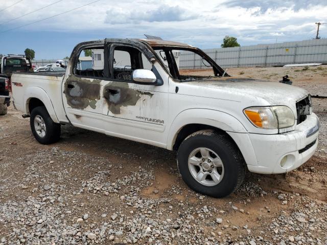 Photo 3 VIN: 5TBET34135S473969 - TOYOTA TUNDRA DOU 