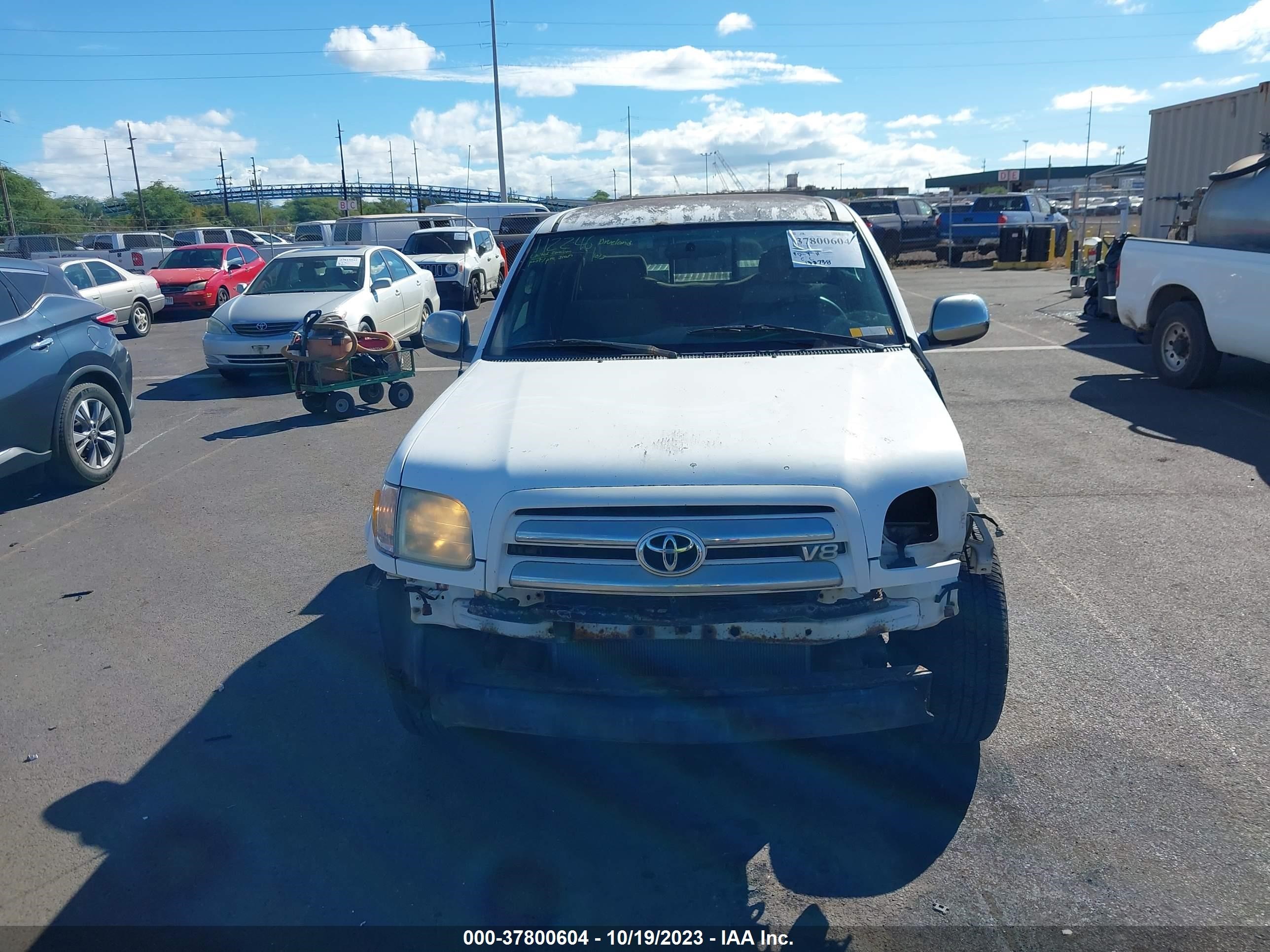 Photo 12 VIN: 5TBRT34184S446492 - TOYOTA TUNDRA 