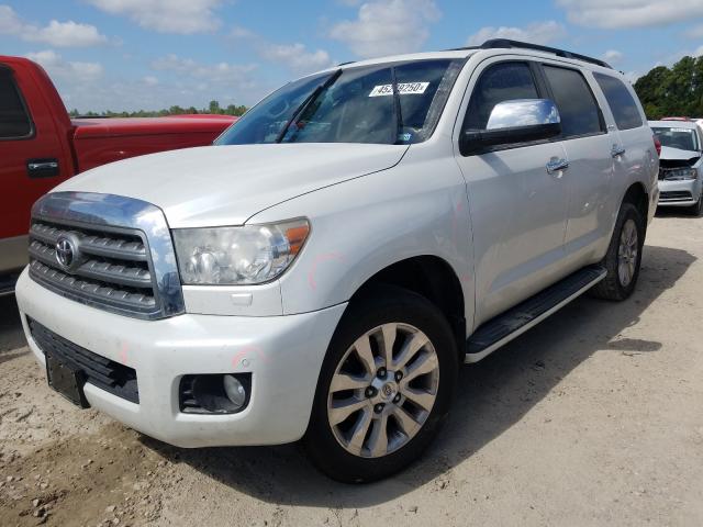 Photo 1 VIN: 5TDYY5G15BS033101 - TOYOTA SEQUOIA PL 