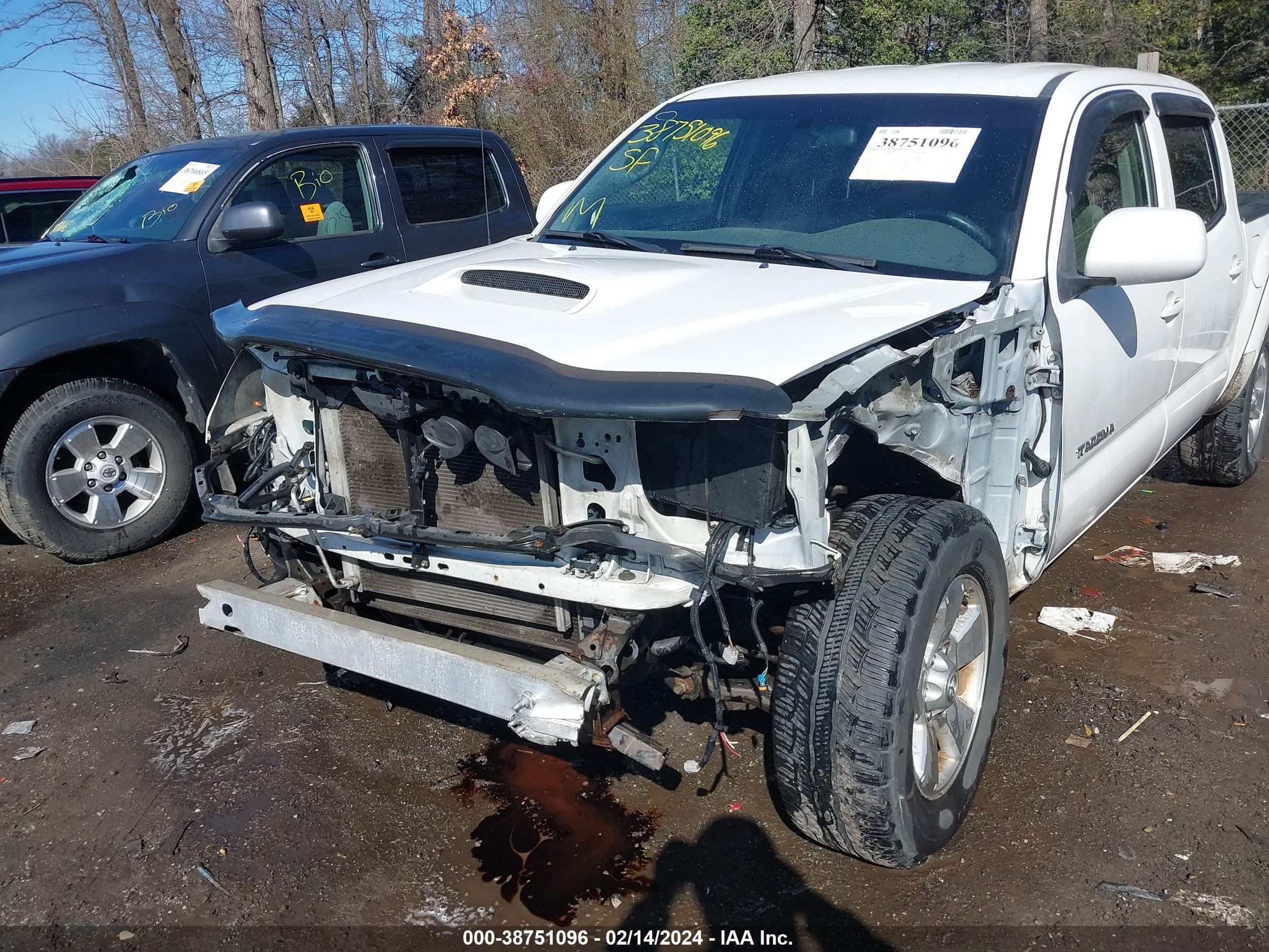 Photo 5 VIN: 5TEJU62N05Z131134 - TOYOTA TACOMA 