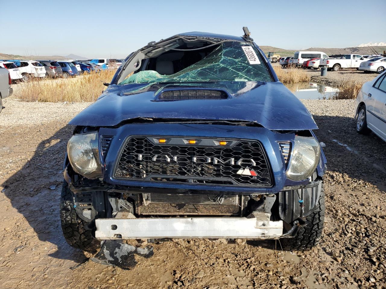 Photo 4 VIN: 5TEJU62N57Z346740 - TOYOTA TACOMA 