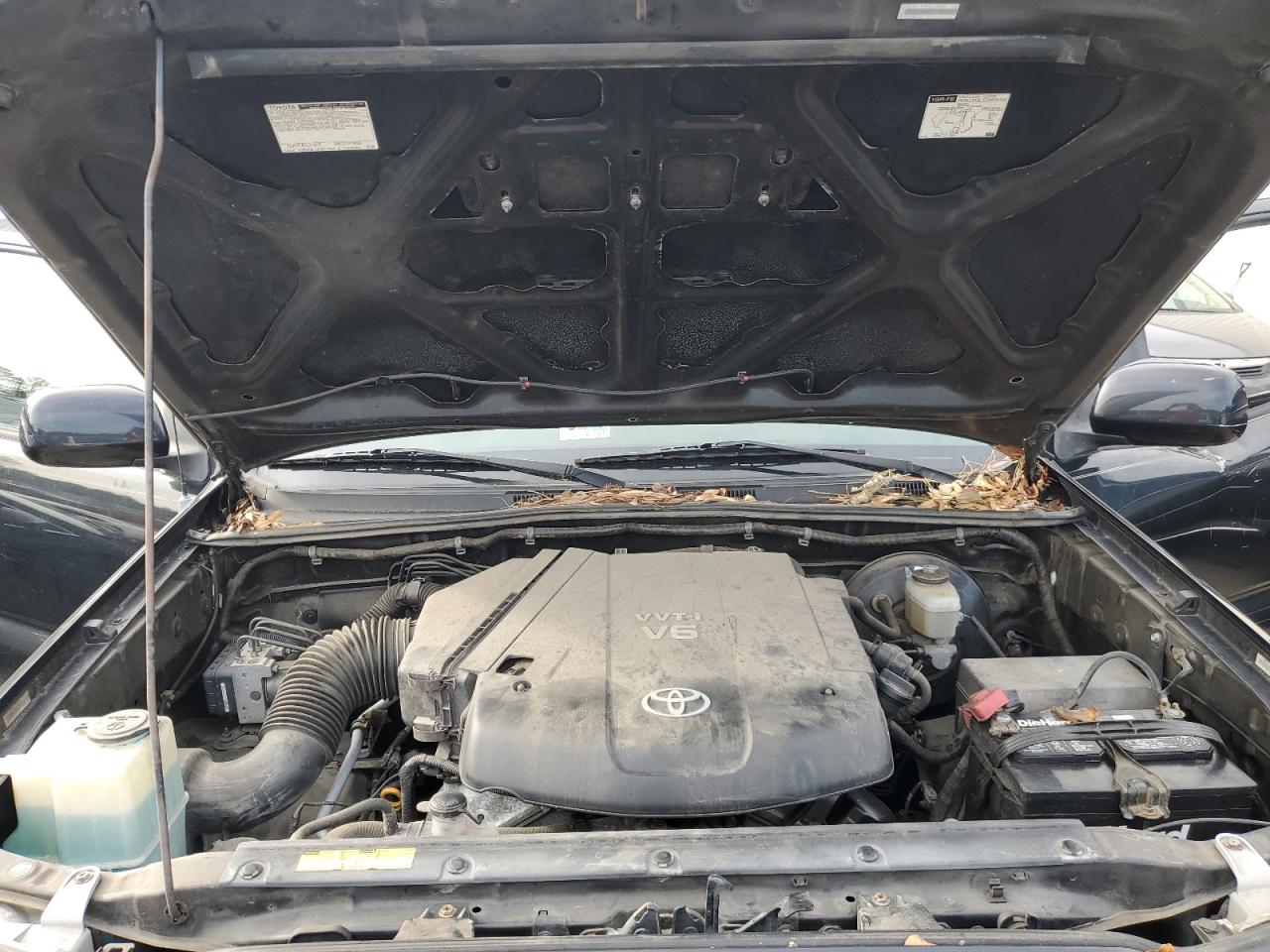 Photo 10 VIN: 5TEJU62N85Z124108 - TOYOTA TACOMA 