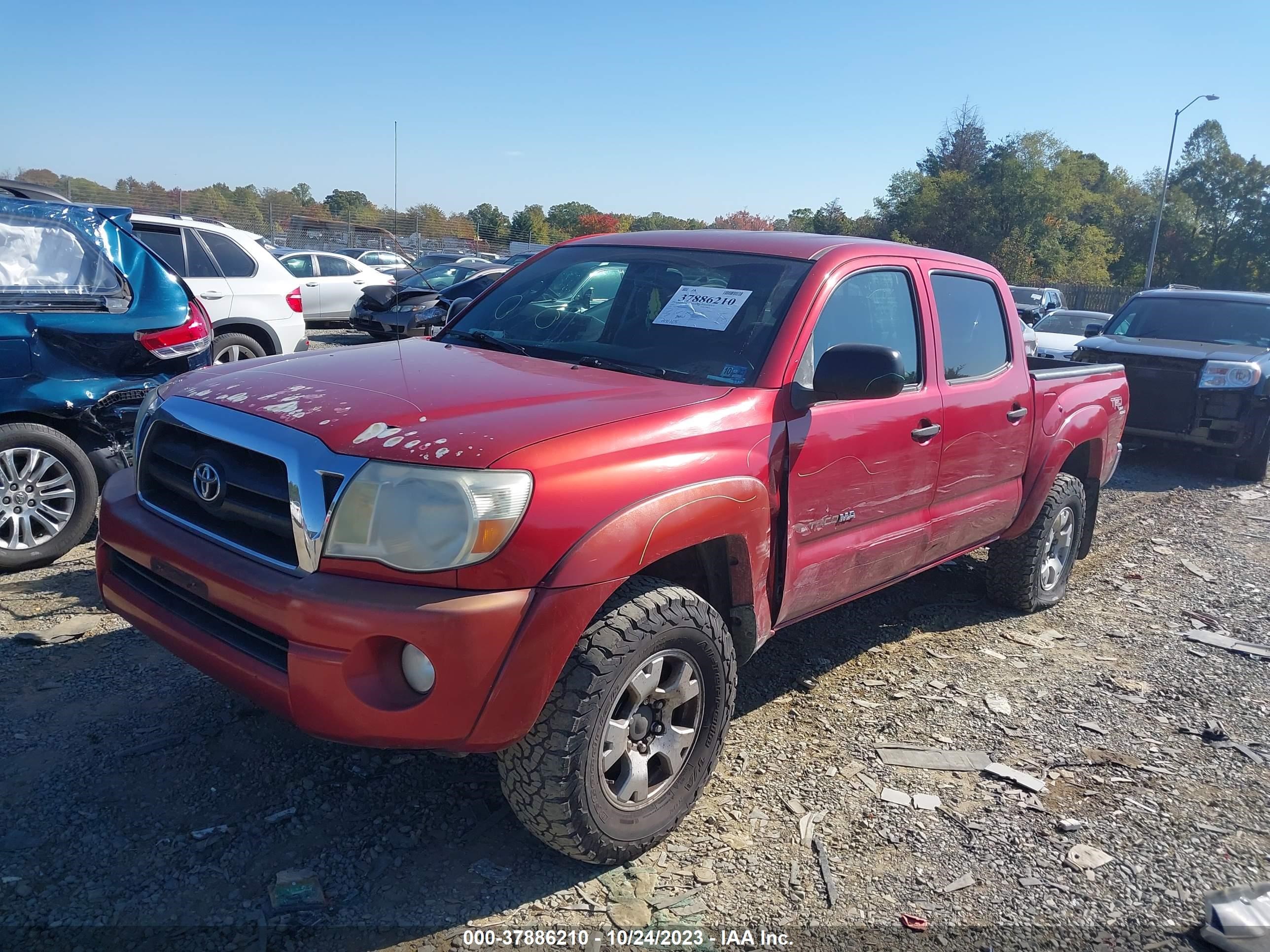 Photo 1 VIN: 5TELU42N37Z392869 - TOYOTA TACOMA 