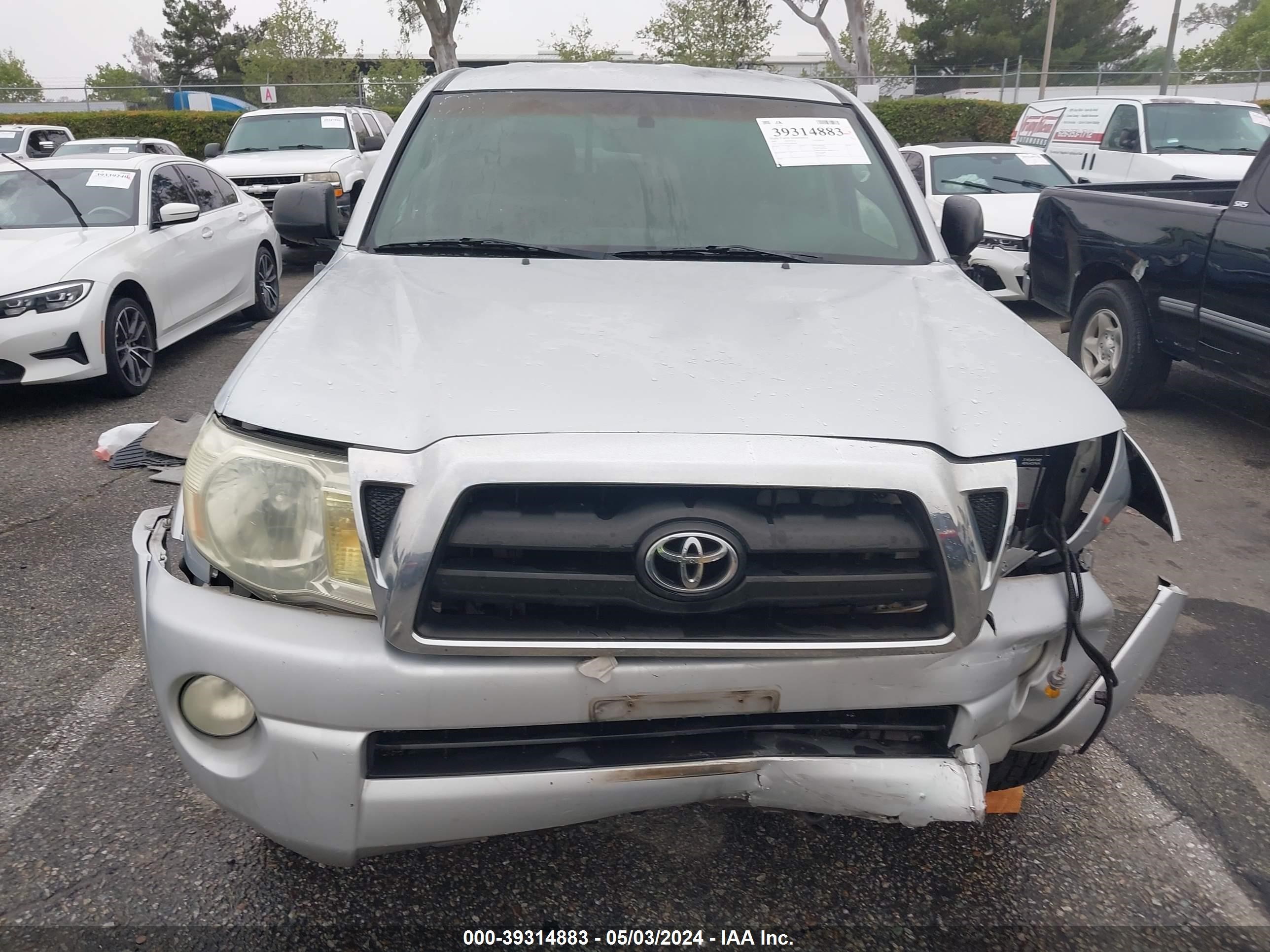 Photo 12 VIN: 5TELU42N45Z096403 - TOYOTA TACOMA 