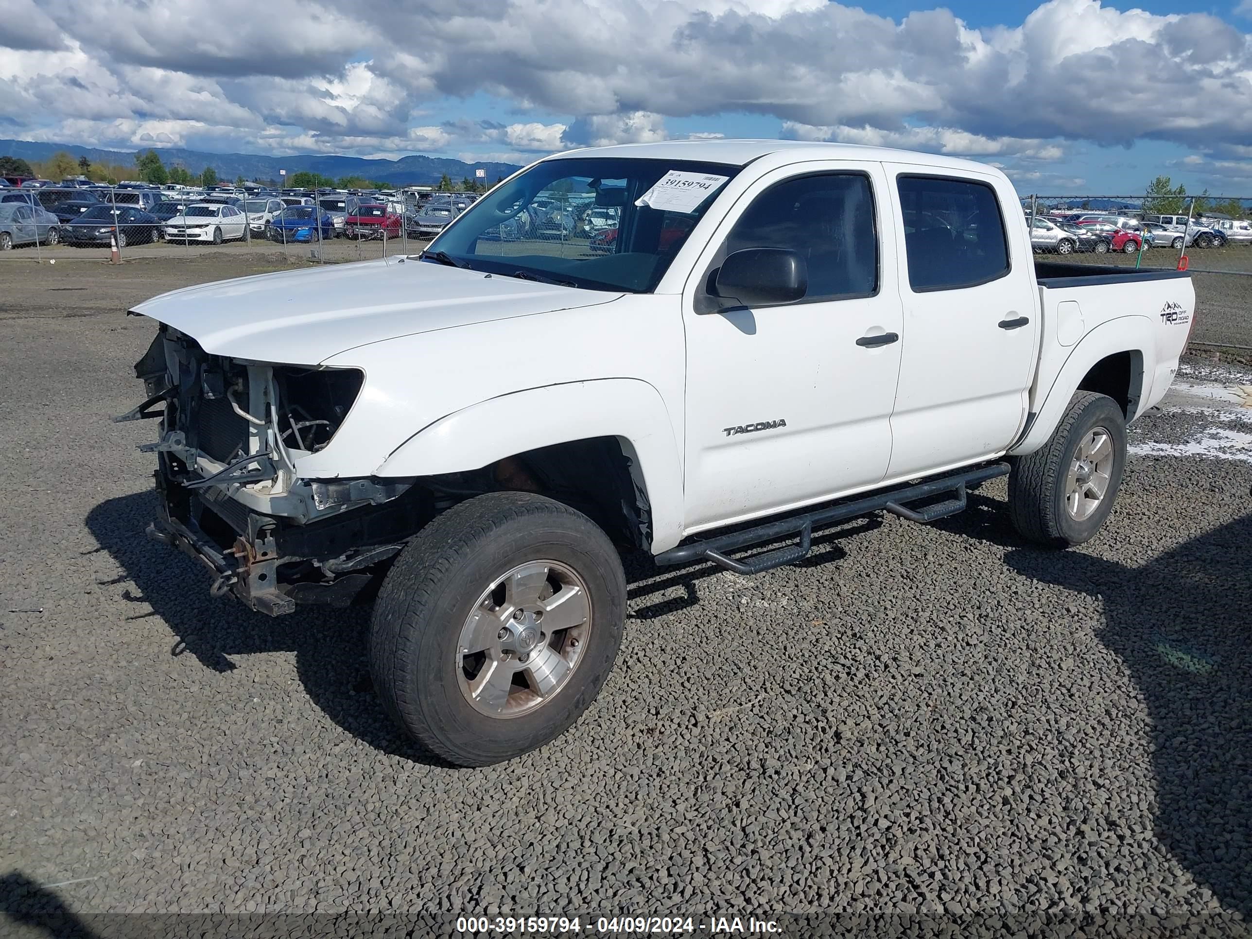 Photo 1 VIN: 5TELU42N56Z164306 - TOYOTA TACOMA 