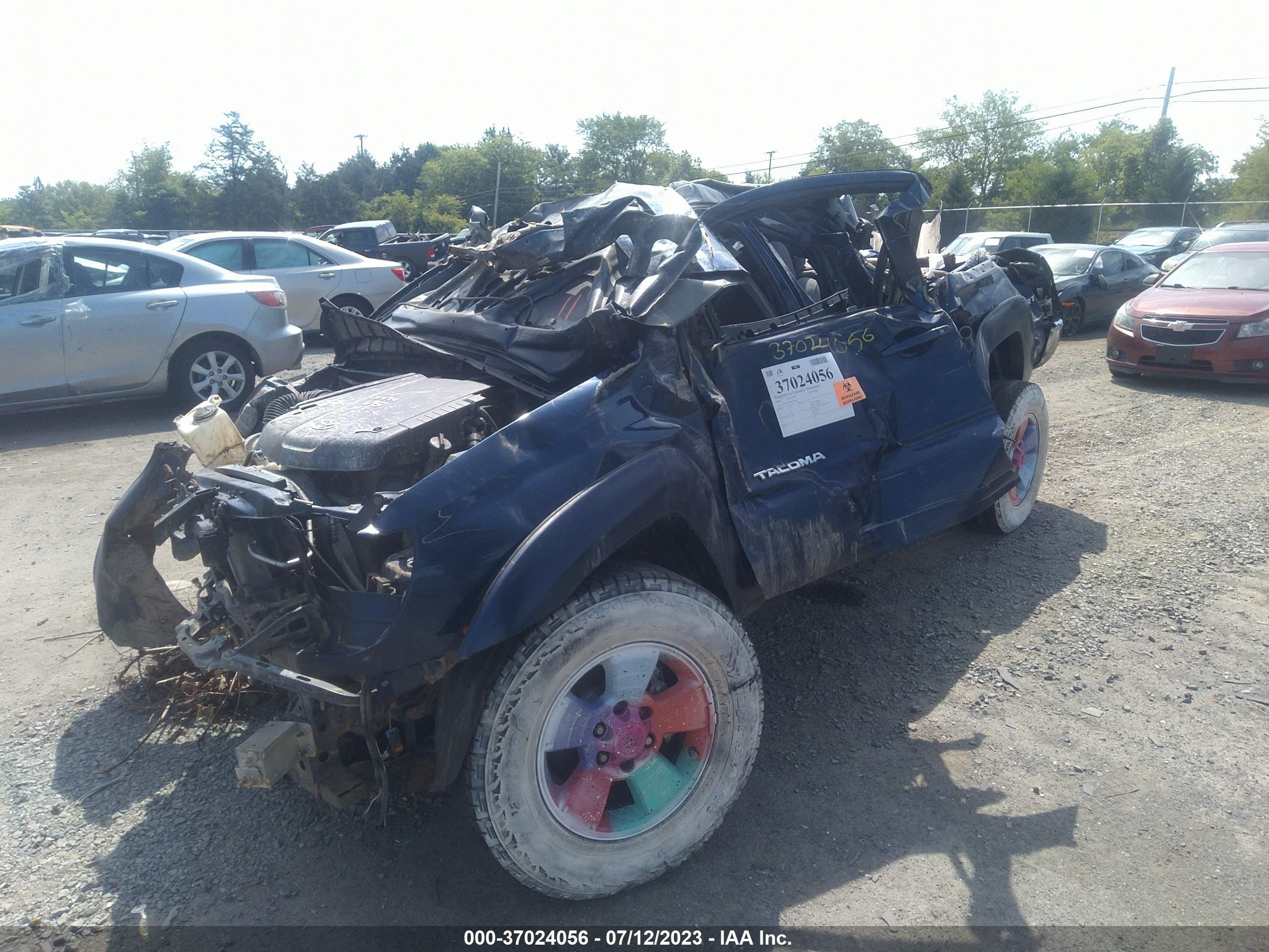 Photo 1 VIN: 5TELU42N76Z256453 - TOYOTA TACOMA 