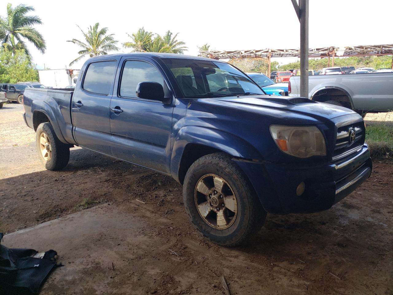 Photo 3 VIN: 5TEMU52NX6Z246428 - TOYOTA TACOMA 