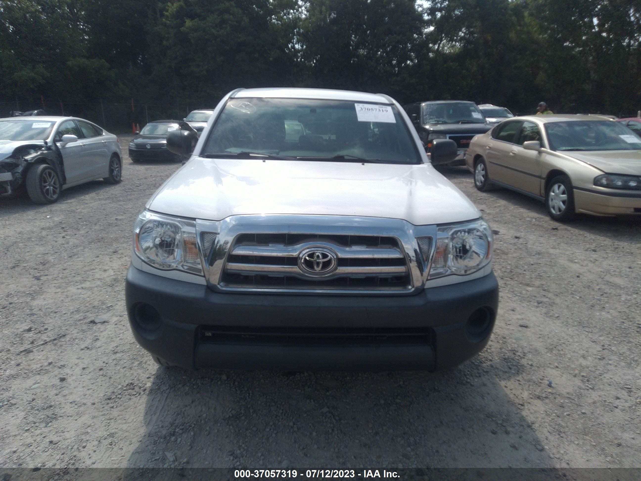 Photo 11 VIN: 5TENX22N77Z418202 - TOYOTA TACOMA 