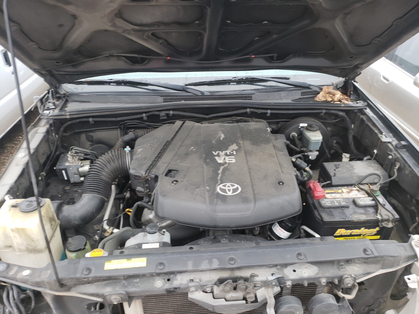 Photo 6 VIN: 5TETU62N35Z014317 - TOYOTA TACOMA PRE 