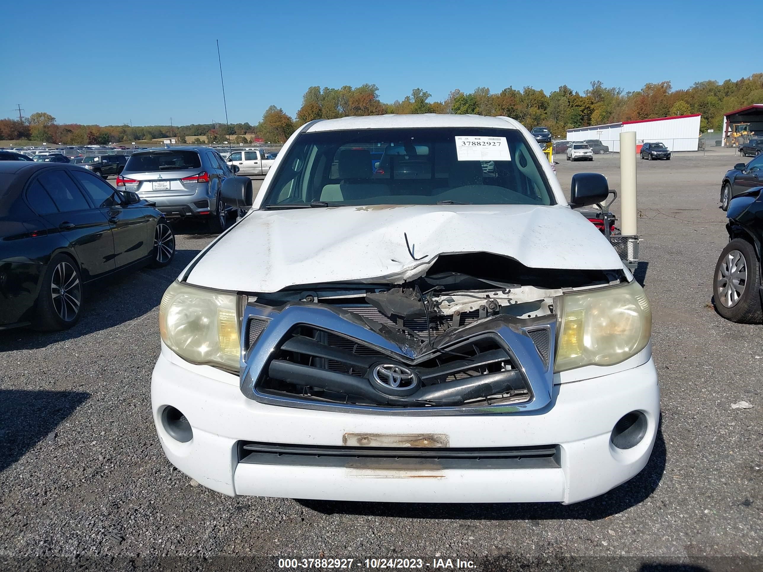 Photo 5 VIN: 5TETX22N15Z105795 - TOYOTA TACOMA 