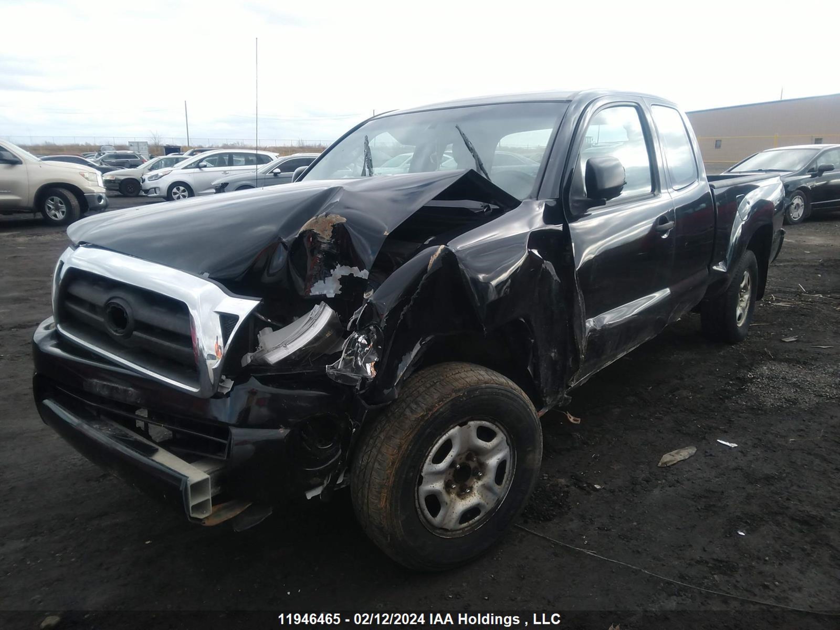 Photo 1 VIN: 5TETX22N38Z521965 - TOYOTA TACOMA 