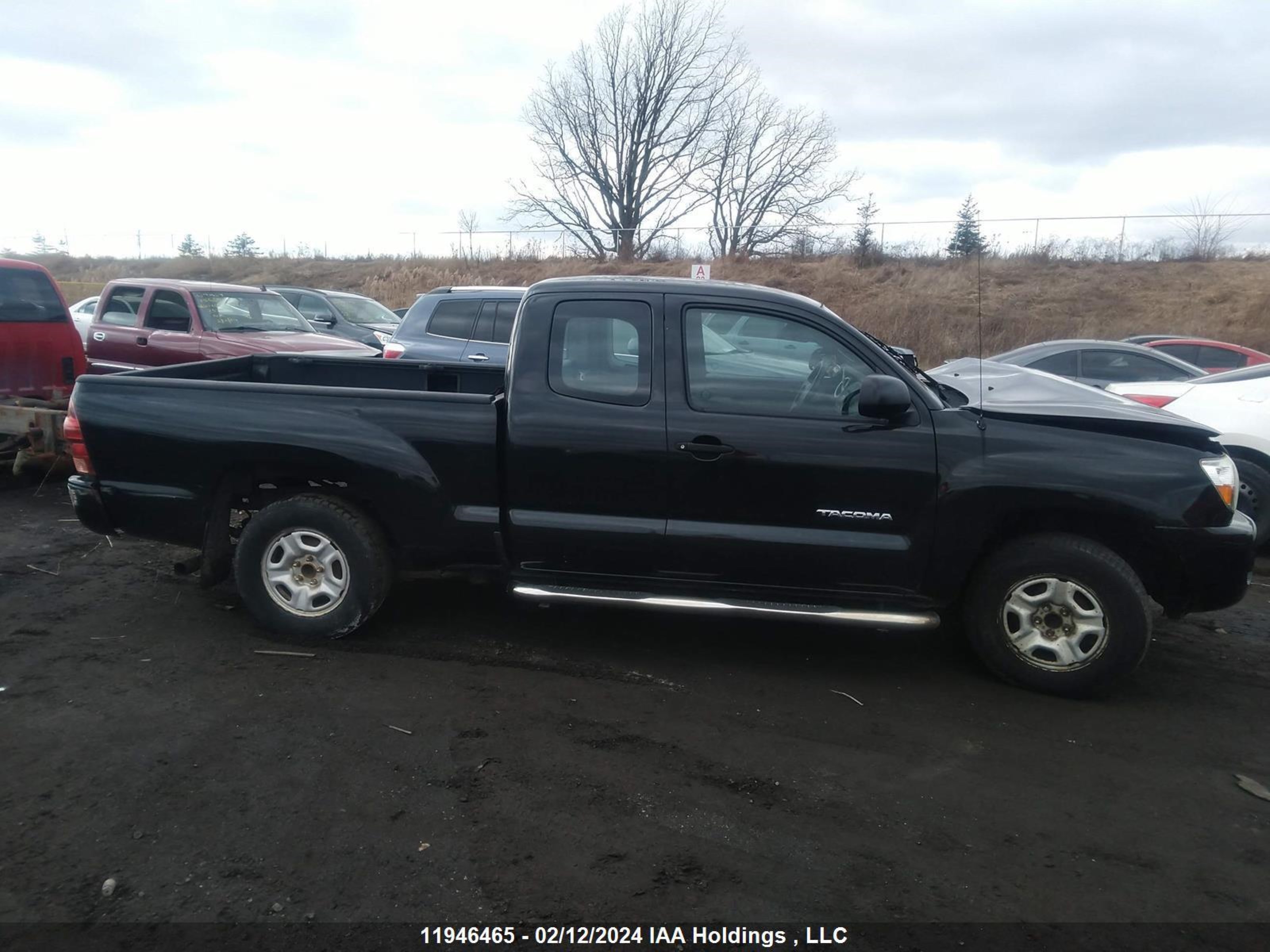 Photo 11 VIN: 5TETX22N38Z521965 - TOYOTA TACOMA 