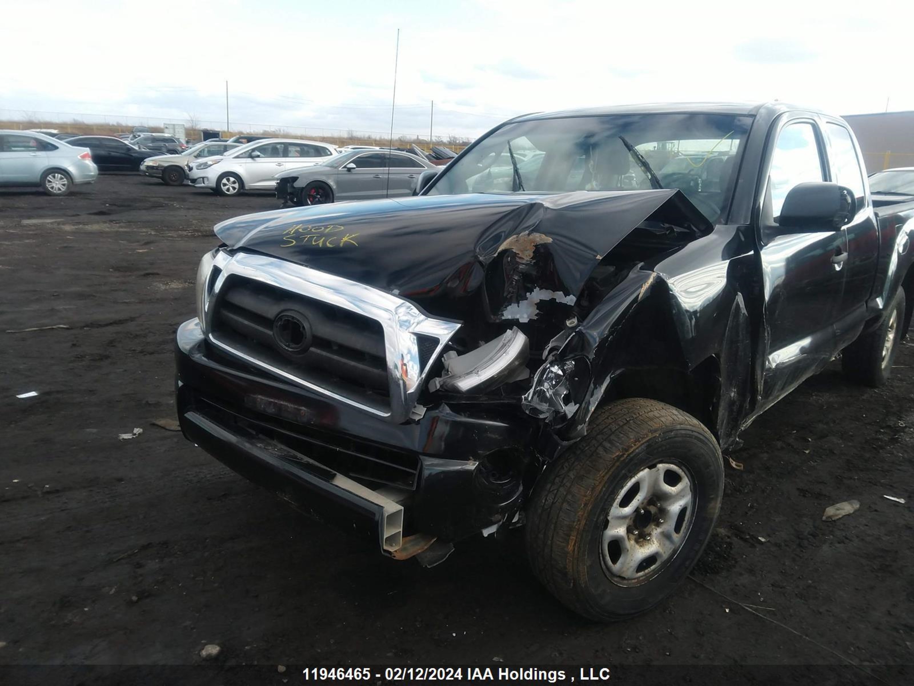 Photo 5 VIN: 5TETX22N38Z521965 - TOYOTA TACOMA 