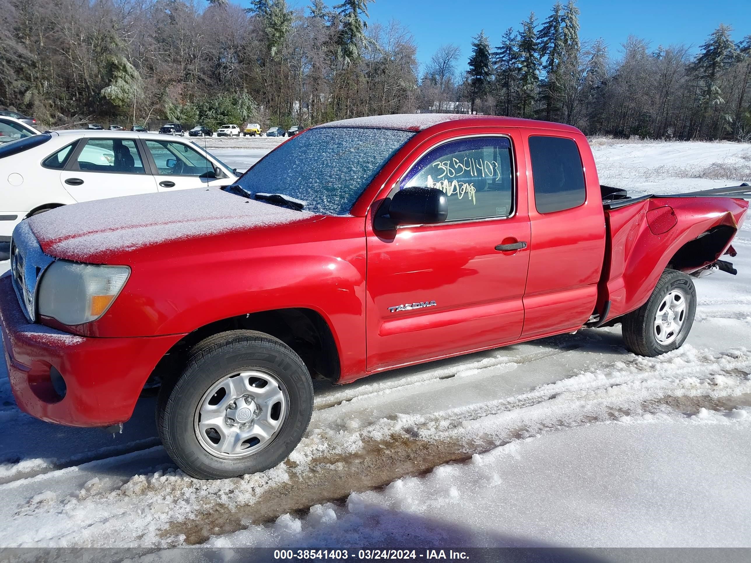 Photo 14 VIN: 5TETX22N99Z668437 - TOYOTA TACOMA 