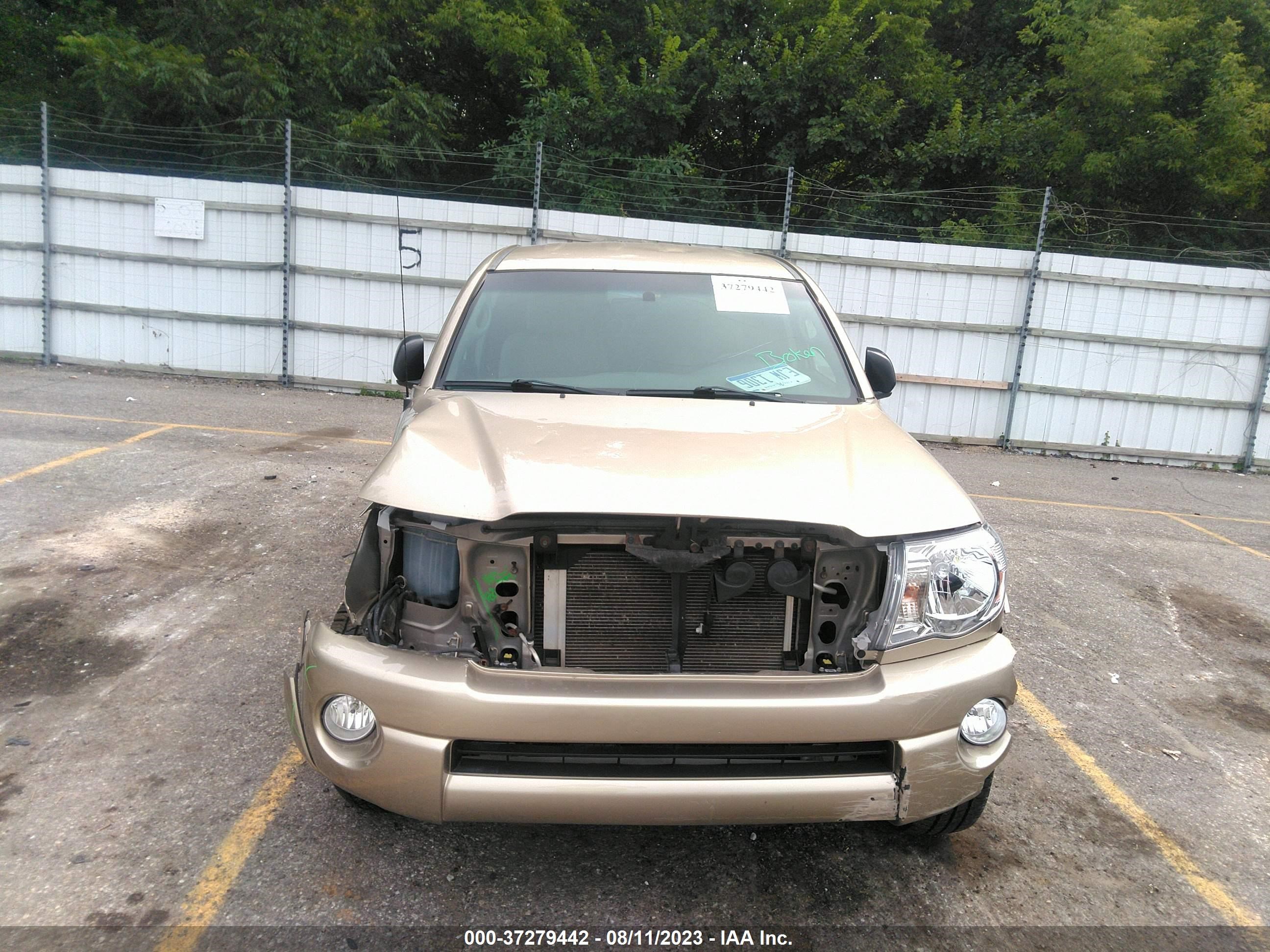 Photo 11 VIN: 5TEUU42N15Z081362 - TOYOTA TACOMA 