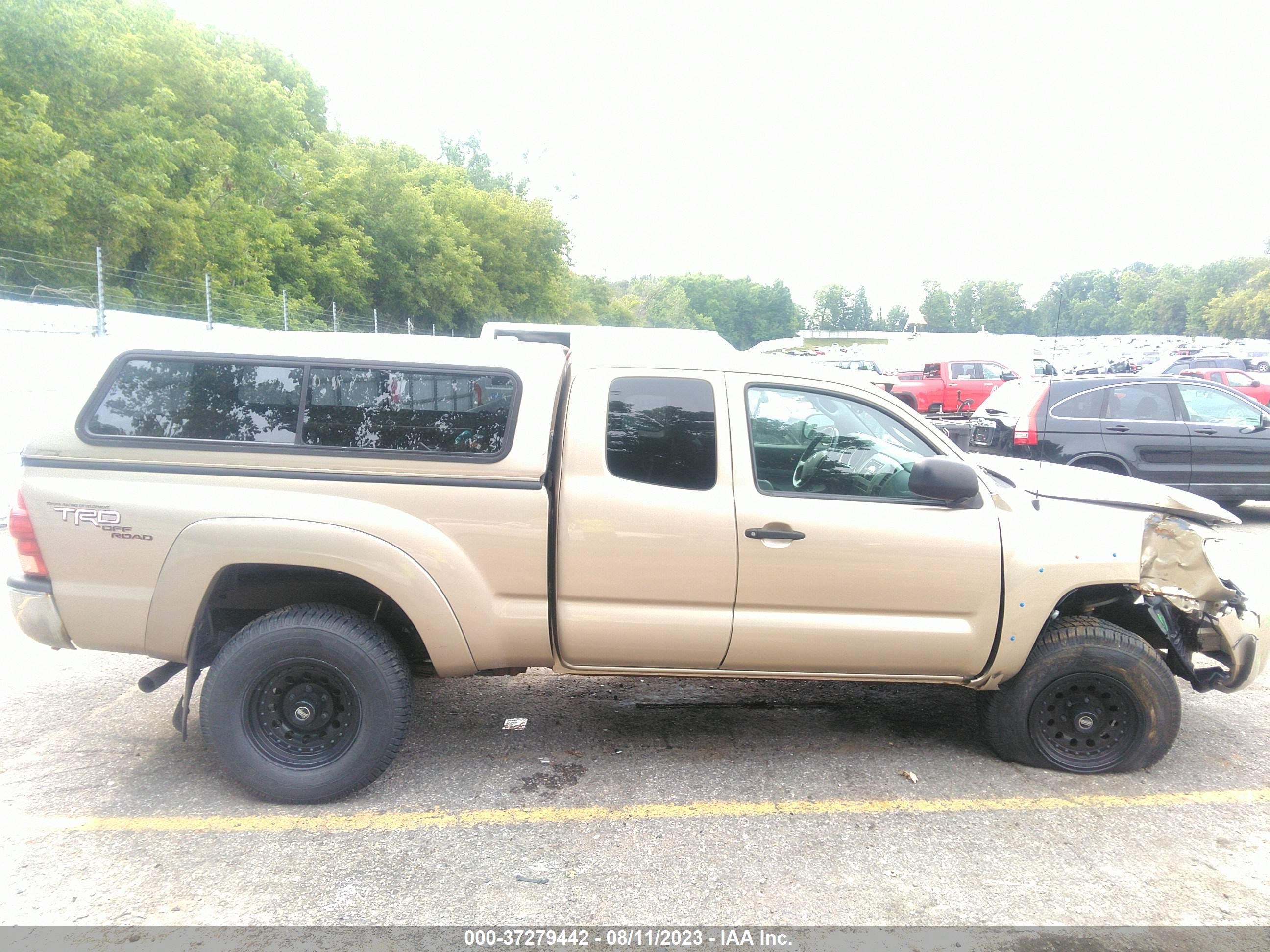 Photo 12 VIN: 5TEUU42N15Z081362 - TOYOTA TACOMA 