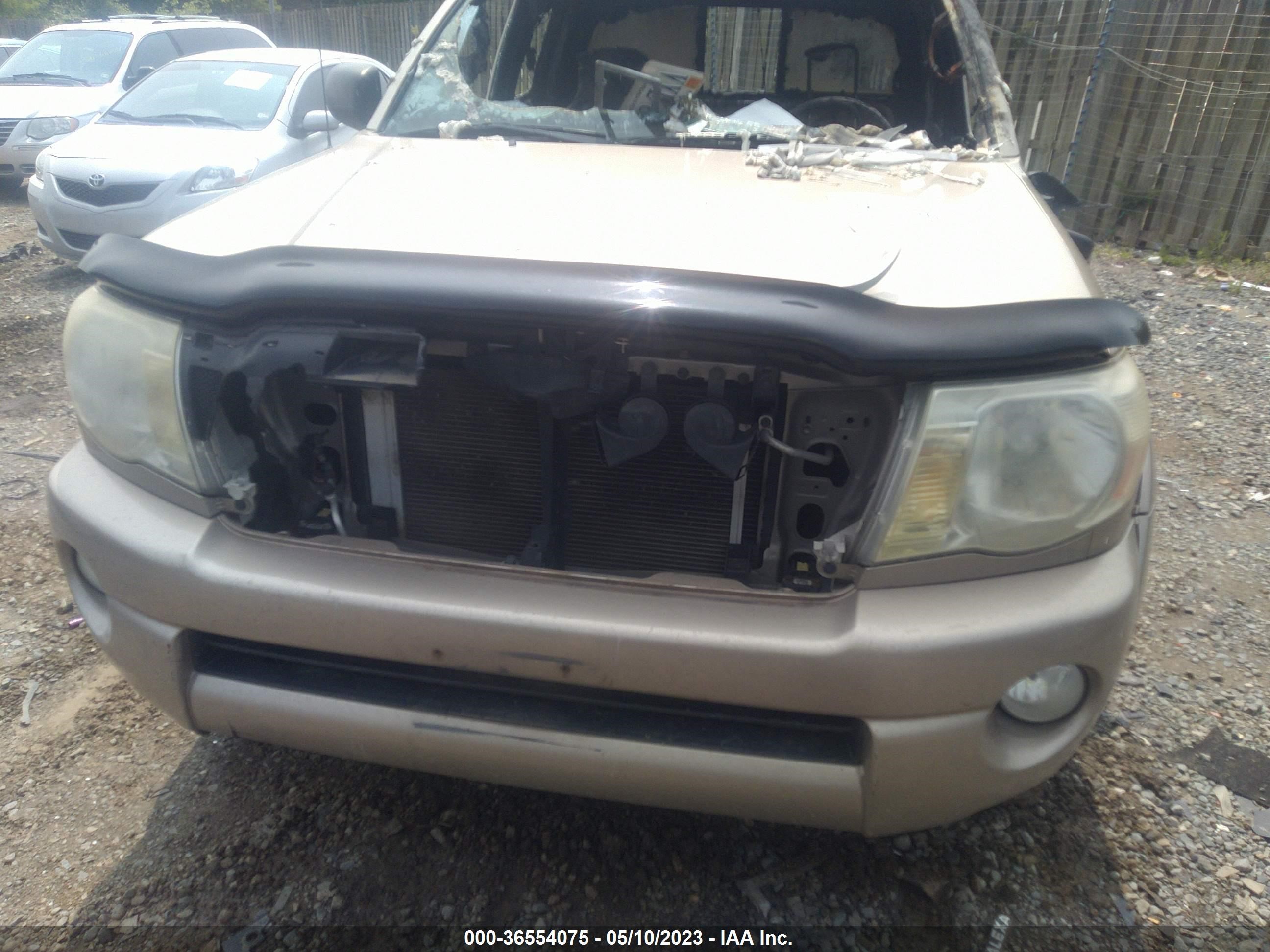 Photo 9 VIN: 5TEUU42N35Z040831 - TOYOTA TACOMA 