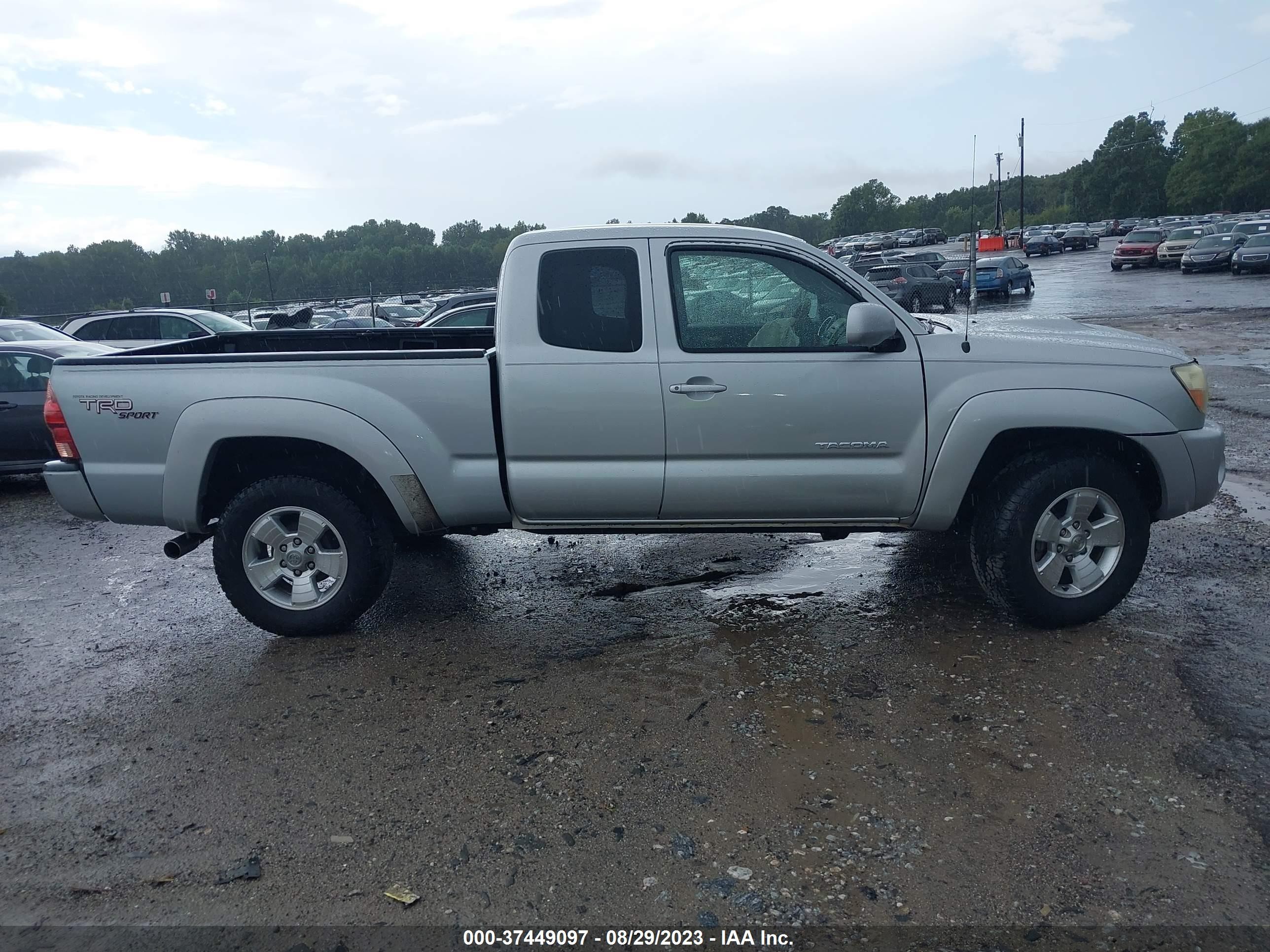 Photo 12 VIN: 5TEUU42N45Z056861 - TOYOTA TACOMA 