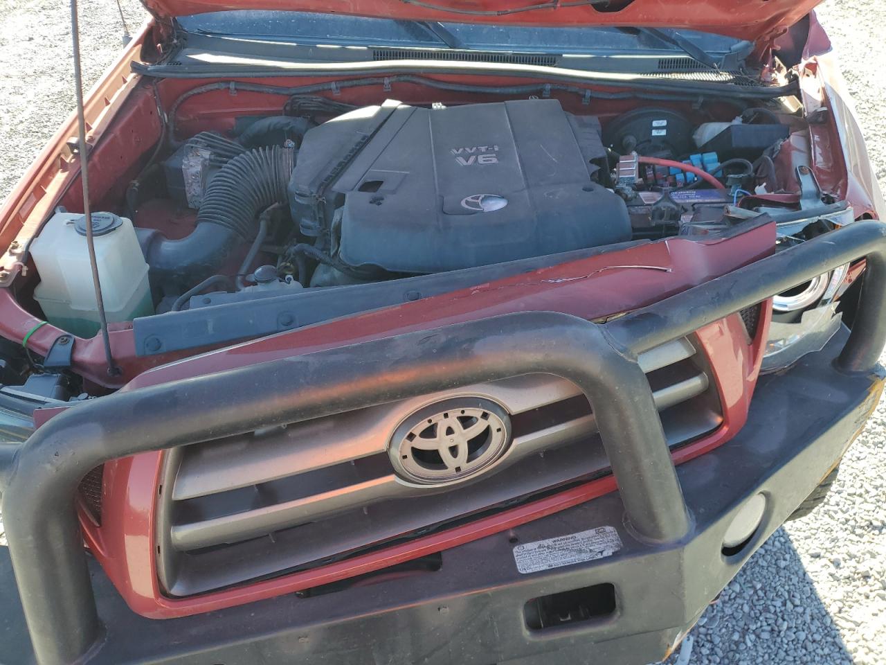 Photo 10 VIN: 5TEUU42N89Z642193 - TOYOTA TACOMA 