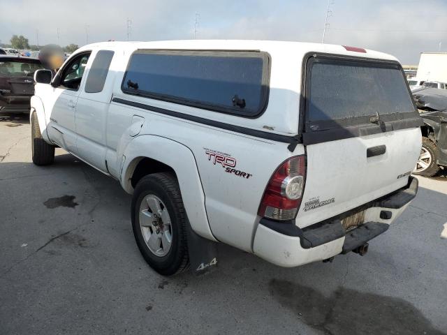 Photo 1 VIN: 5TEUU42N89Z669507 - TOYOTA TACOMA ACC 