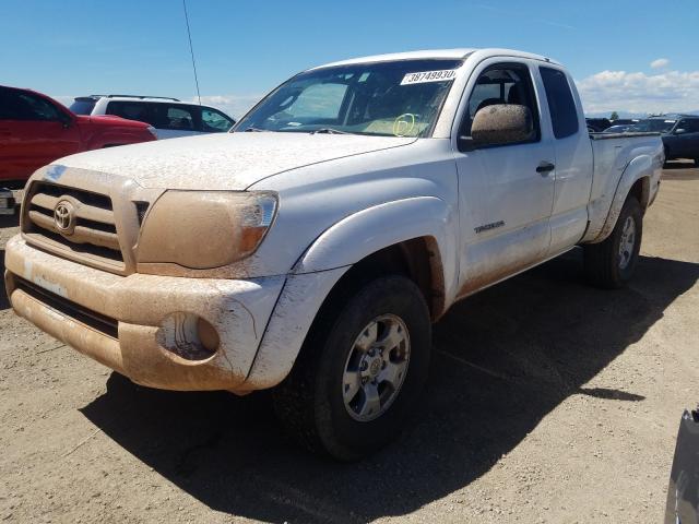 Photo 1 VIN: 5TEUU4EN1AZ746184 - TOYOTA TACOMA ACC 